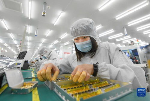 靠譜服務驅動技術創新，標準引領未來——一家光通信企業的出海秘籍